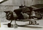 Polikarpov I-15 Chato 002.jpg