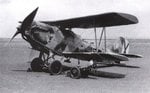 Heinkel He-45  Pavo 001.JPG