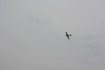 Spitfire Flight 4.jpg