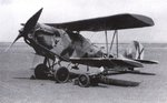 Heinkel He-45  Pavo 001.jpg