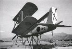 Arado Ar-95 008.jpg