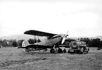 Heinkel He-45 Pavo 0018.jpg