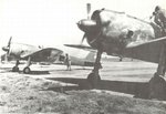 Nakajima Ki-43 Hayabusa Oscar 004.jpg
