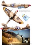 Pages from Ventura Classic Warbird 3 - American Spitfire Cammouflage and Markings, Part 1.jpg