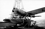 Arado Ar-196 004.jpg