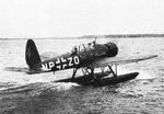 Arado Ar-196 0014.jpg