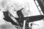 Arado Ar-196 0019.jpg
