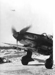 Junkers Ju-87 Stuka 003.jpg