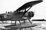 Heinkel He-114 002.jpg
