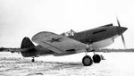 Curtiss P-40 Warhawk 001.jpg