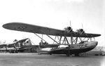 Consolidated P2Y Ranger 005.jpg