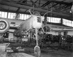 Heinkel He-219 Uhu 001.jpg