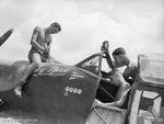 1-MkVIII-RAAF-1TAF-RG-V-Gibbs-A58-602-Morotai-1945-01.jpg