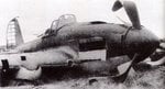 IL-2 Sturmovik crashlanded Russia 01.jpg