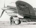 Curtiss P-40 Flying Tigers 005.jpg