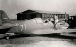 Curtiss P-40 Flying Tigers 007.jpg