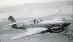 Curtiss P-40 Flying Tigers 0011.jpg