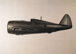 P-47 Build 009.jpg