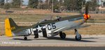 P 51 Mustang Lady Allice.jpg