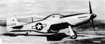 P-51.JPG