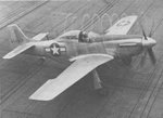 P-51 1 15 nov 44.JPG