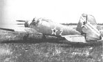 bu-181.JPG
