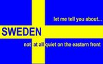 swedenl_flag.jpg