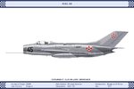 MiG19_Bulgaria_1_Dev.jpg