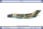 MiG19_China_4_Dev.jpg