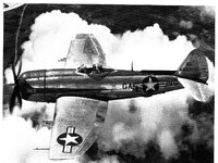 P-47N-1sm.jpg