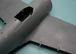 Wing joint_5617.JPG