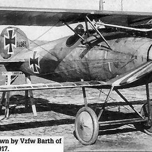 Albatros D V Jasta 10 1917.jpg