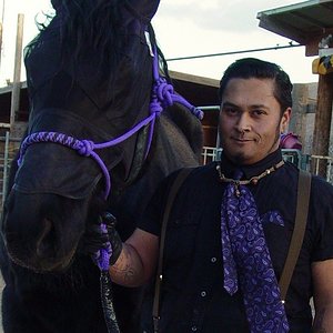 Dressage War Horse ONYX
