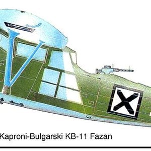 Kaproni-Bulgarski KB-11 Fazan