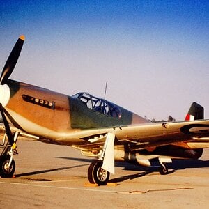 P-51A in color -  RAF scheme_resized.jpg