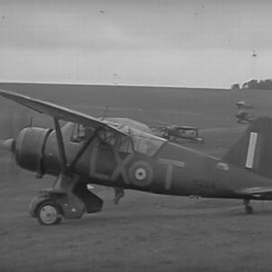 Westland Lysander Mk.II s/n N1294, LX-T, no. 255 Squadron, 1940 (2)