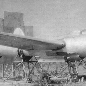 Sukhoi Su-12 prototype at a firing range, the armament trials (1)