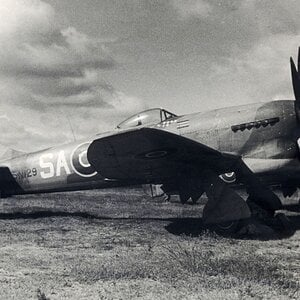 Hawker Tempest Mk.V, s/n. SN121, code SA-M, no. 486 Squadron RNZAF, Germany, May 1945