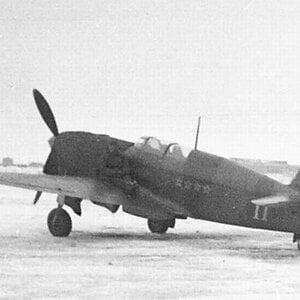 Yak-7B "White 11", 148 GIAP