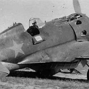 Polikarpov I-16 "White 3", 122 IAP, 1941
