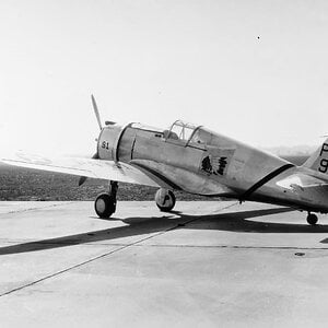 Curtiss P-36A (2)