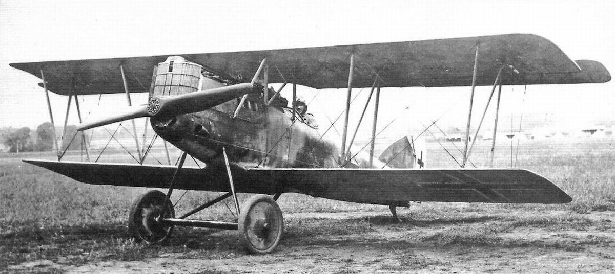 Pfalz D.XII no. 2670/18 (1)